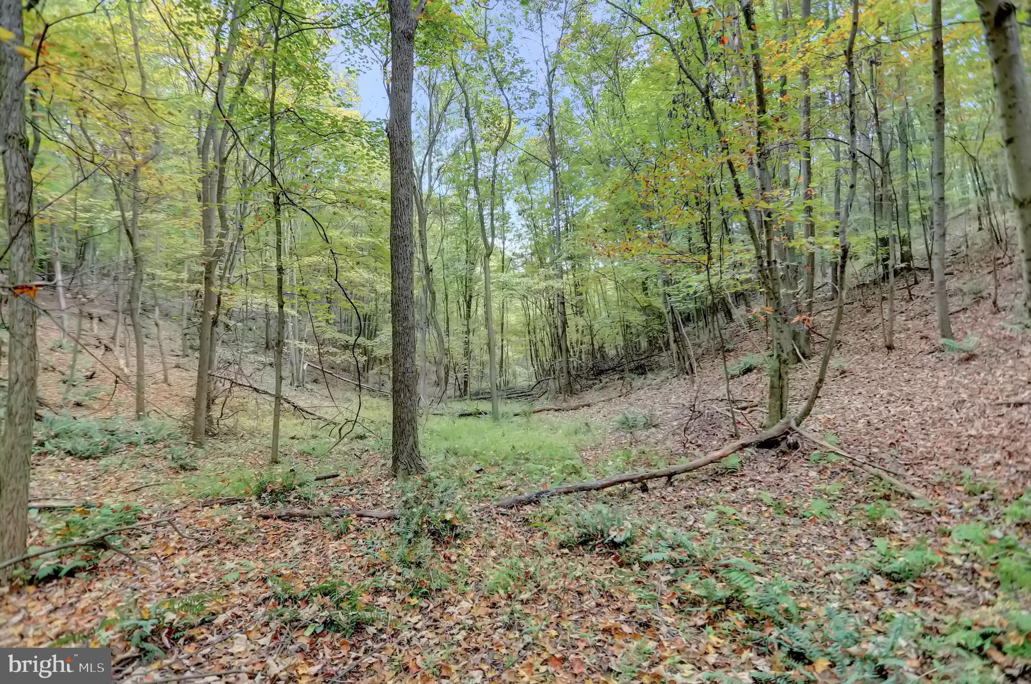 NONE AVAILABLE - Land