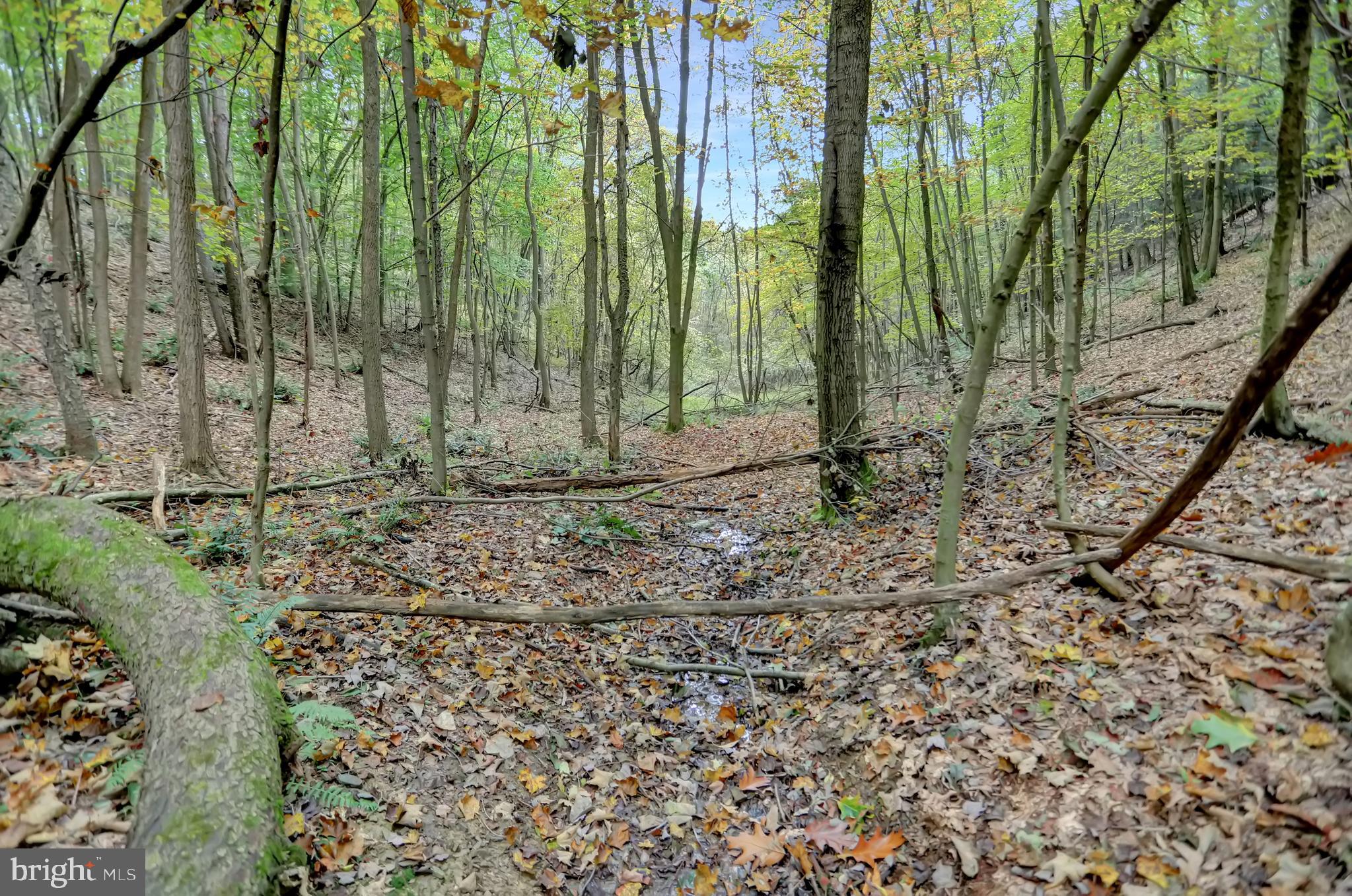 NONE AVAILABLE - Land