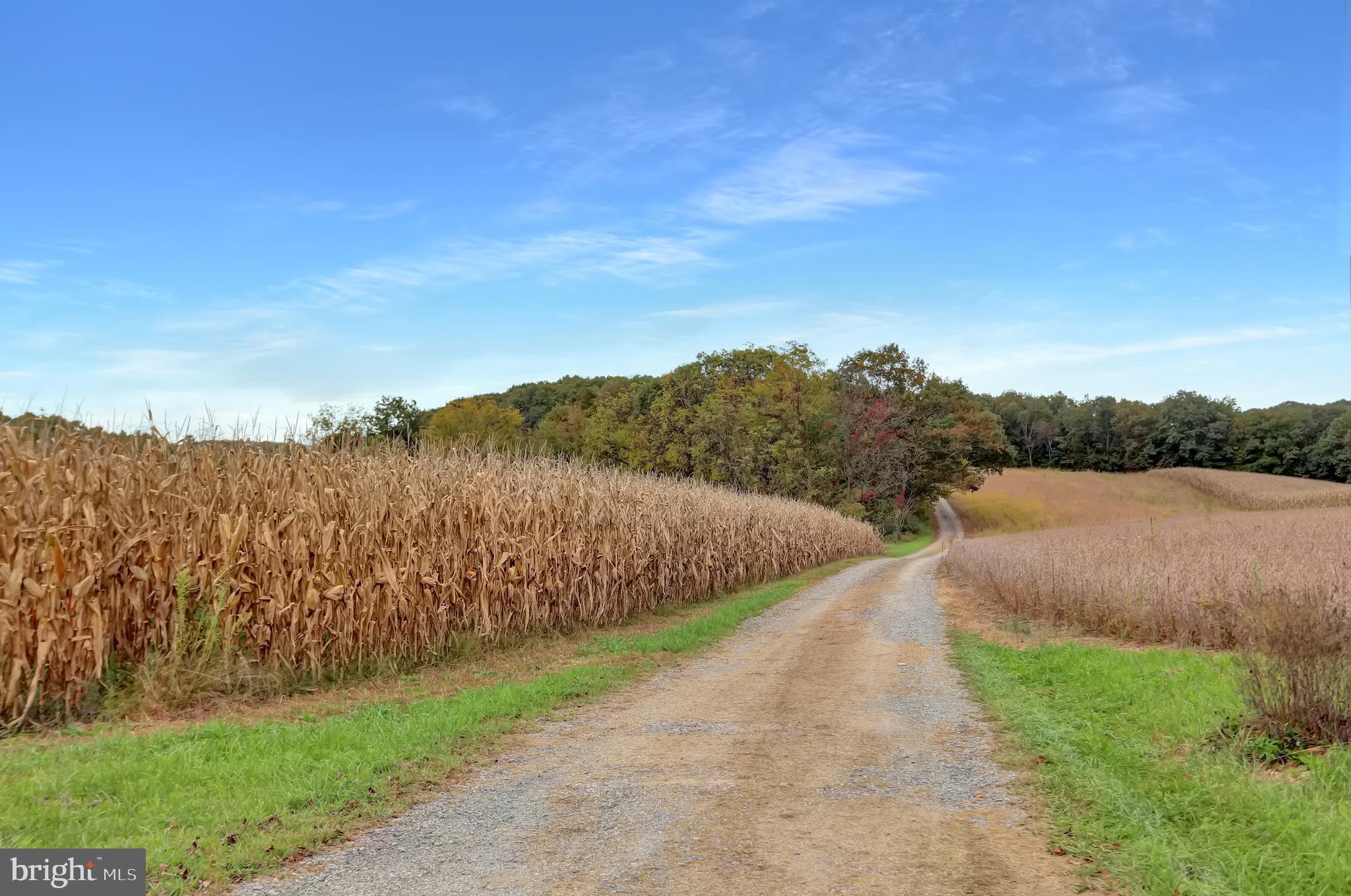 NONE AVAILABLE - Land