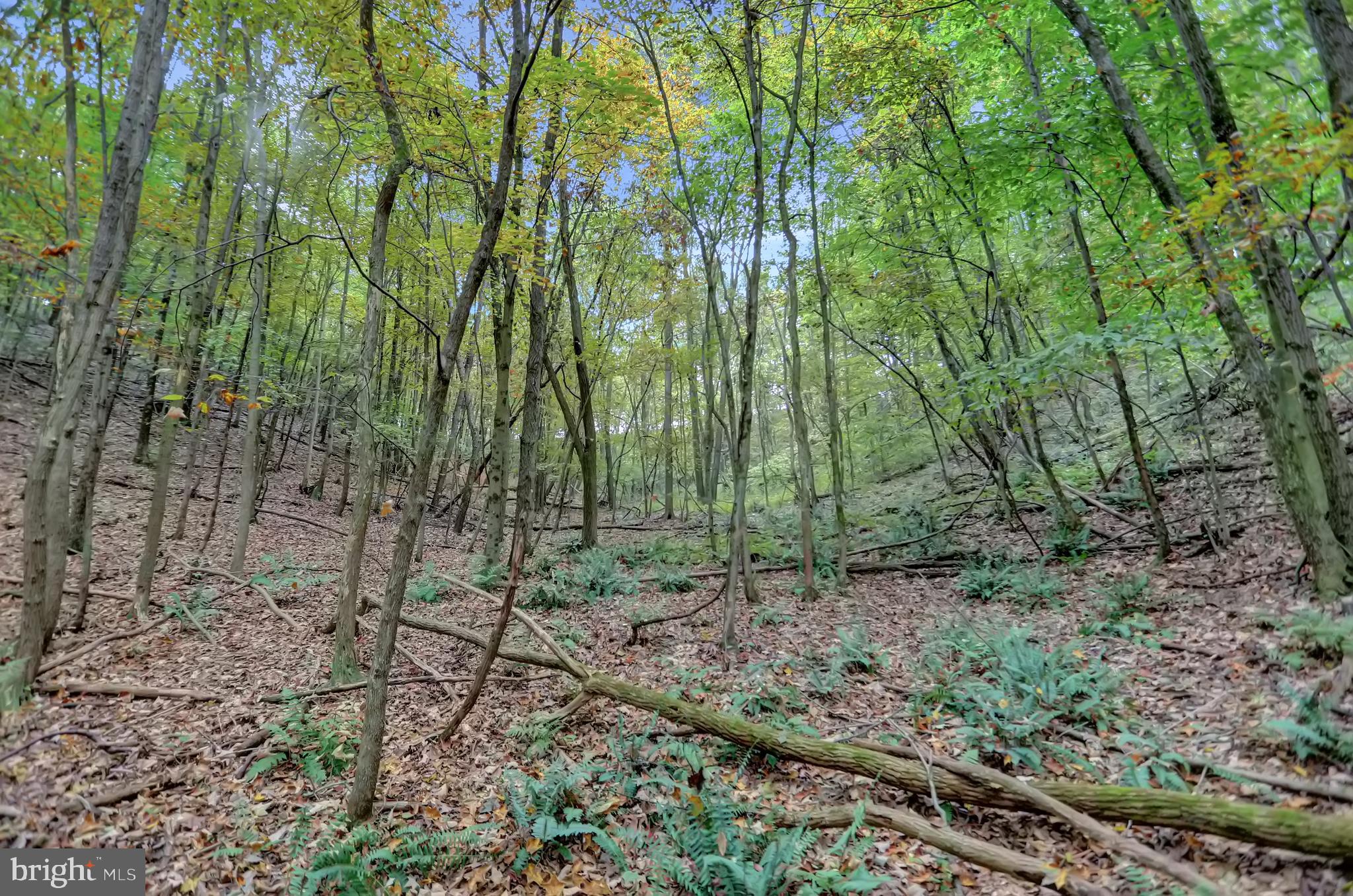 NONE AVAILABLE - Land