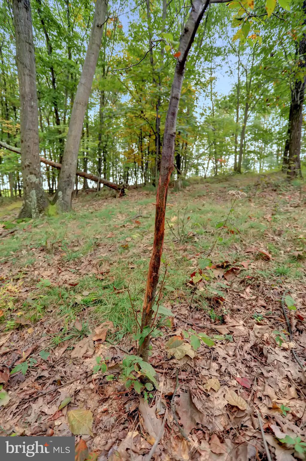 NONE AVAILABLE - Land