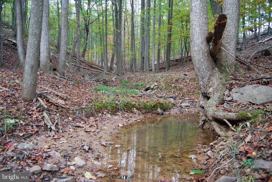 Large Acreage with Marketable Timber, Great Hunting and Division Potential

Have you been searching for a larger acreage tract with prime hunting, marketable timber and the ability to have return on investment? This property currently is made of a very gentle topography and large oaks scattered throughout. Current owners had the property split into 4 lots and each lot perc'd but not recorded with the county. Each perc was a Class I system. The property would be as well a fantastic place to build a single home and let the trees encompass you. The wildlife that uses the property is plentiful ranging from deer, turkeys and the occasional bear.

Like playing golf but don't want to live on the course? The Woods Resort is just a short 2 miles away. The Resort offers 2 separate 18 hole courses, spa and salon and as well a restaraunt on site.

From this location you are 30 minutes to Martinsburg and Berkeley Springs and under 2 hours back to DC.

A property with all these features will not last long in this market. Give me a call today to schedule a showing.