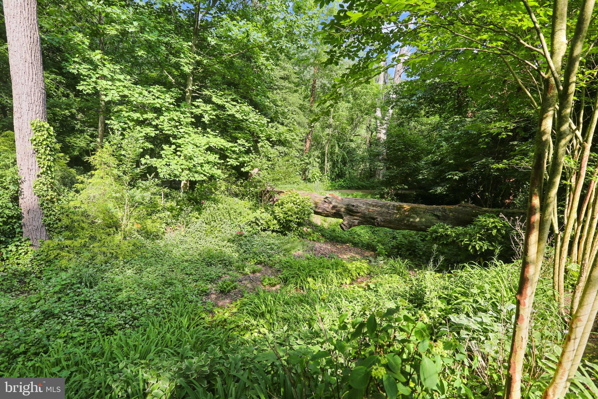 EVERGREEN - Residential