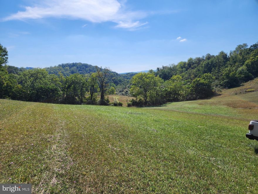Rare find in Mountain Side Maryland! 122 acres of picturesque, undeveloped land, There are many 4-wheeler trails and natural springs., zoned agricultural as prior usage was pasture and hunting,  wooded with Appalachian hardwoods: black walnut, sugar maple, black cherry, oak & hickory. Exceptional hunting: deer, turkey & squirrel. Perfect for secluded home site or mountain retreat, there are no buildings on this property property account: 22 002732 (110 acres) 22 015745 (12 acres).