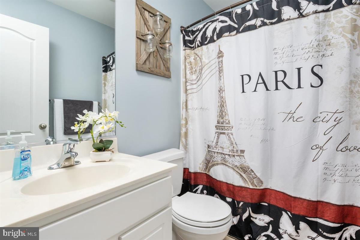 LUCKY SHOE RANCHETTES - Residential