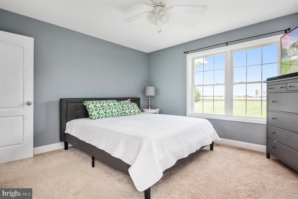 LUCKY SHOE RANCHETTES - Residential