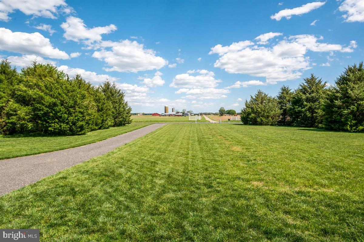 LUCKY SHOE RANCHETTES - Residential