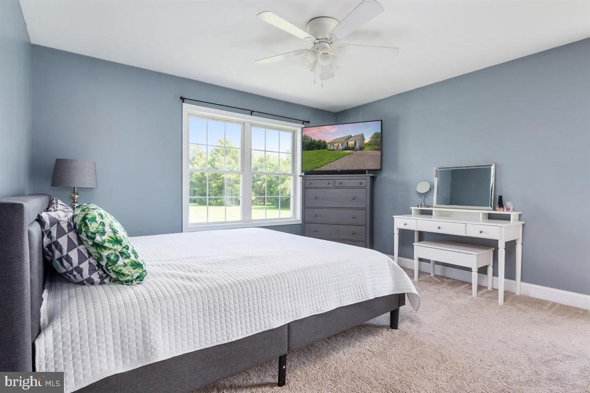 LUCKY SHOE RANCHETTES - Residential