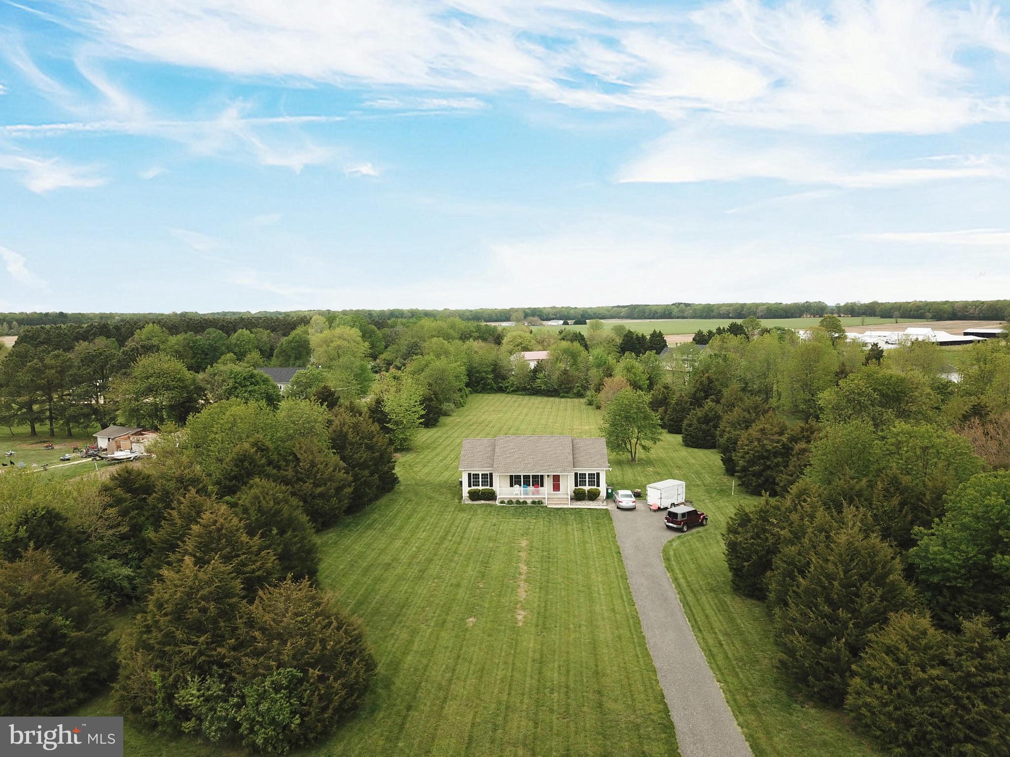 LUCKY SHOE RANCHETTES - Residential