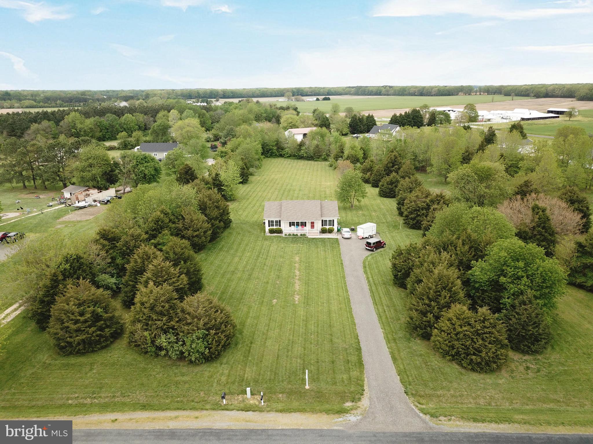 LUCKY SHOE RANCHETTES - Residential