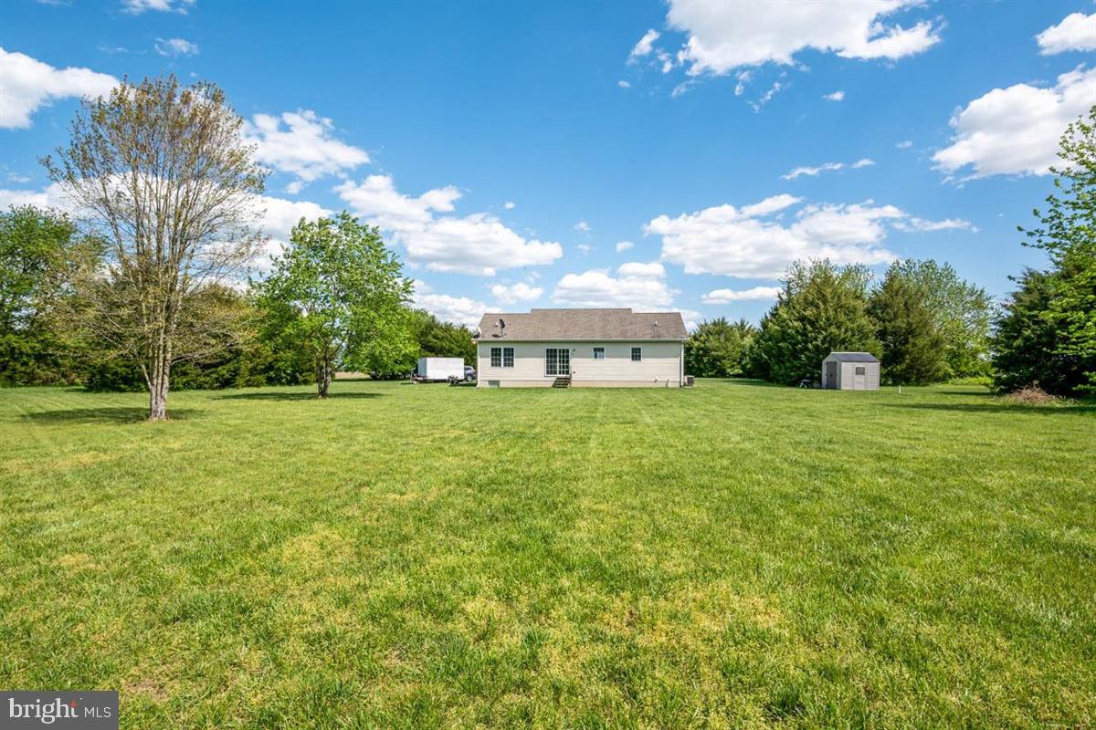 LUCKY SHOE RANCHETTES - Residential