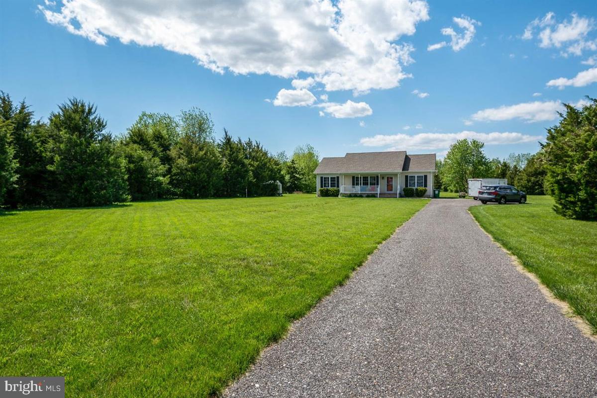 LUCKY SHOE RANCHETTES - Residential