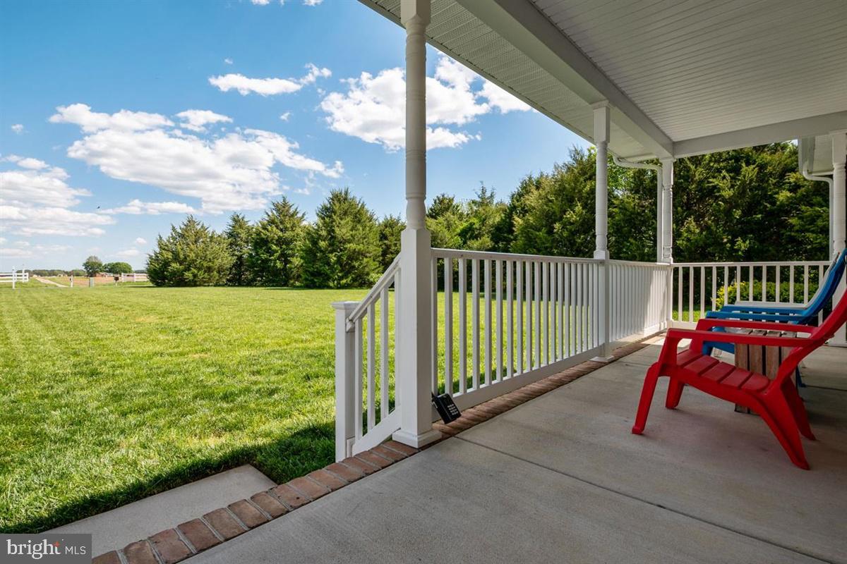 LUCKY SHOE RANCHETTES - Residential