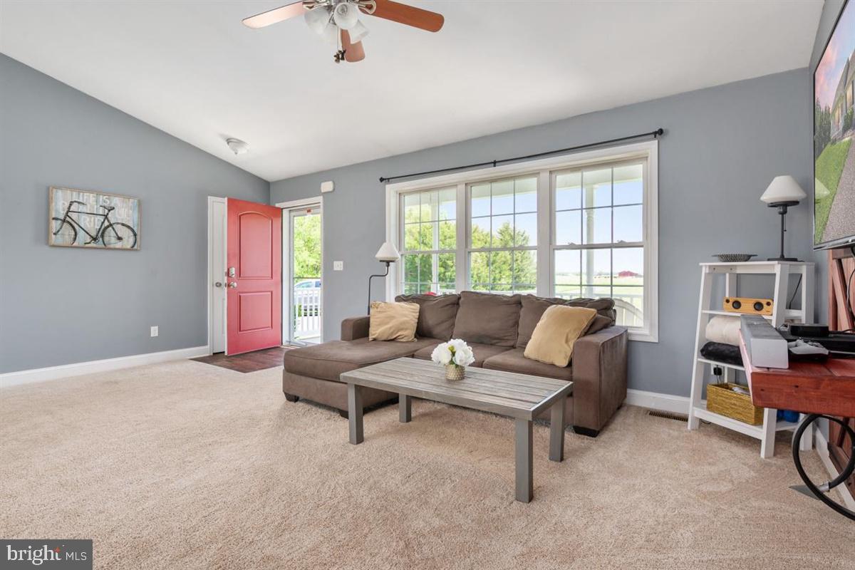 LUCKY SHOE RANCHETTES - Residential