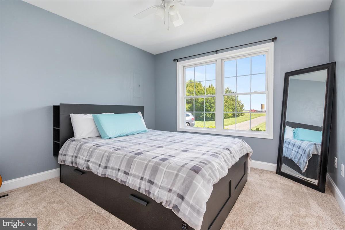 LUCKY SHOE RANCHETTES - Residential