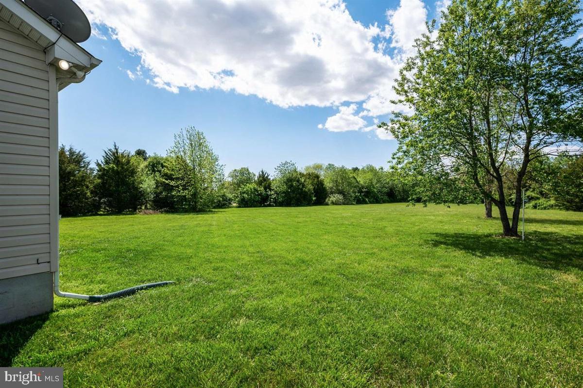 LUCKY SHOE RANCHETTES - Residential