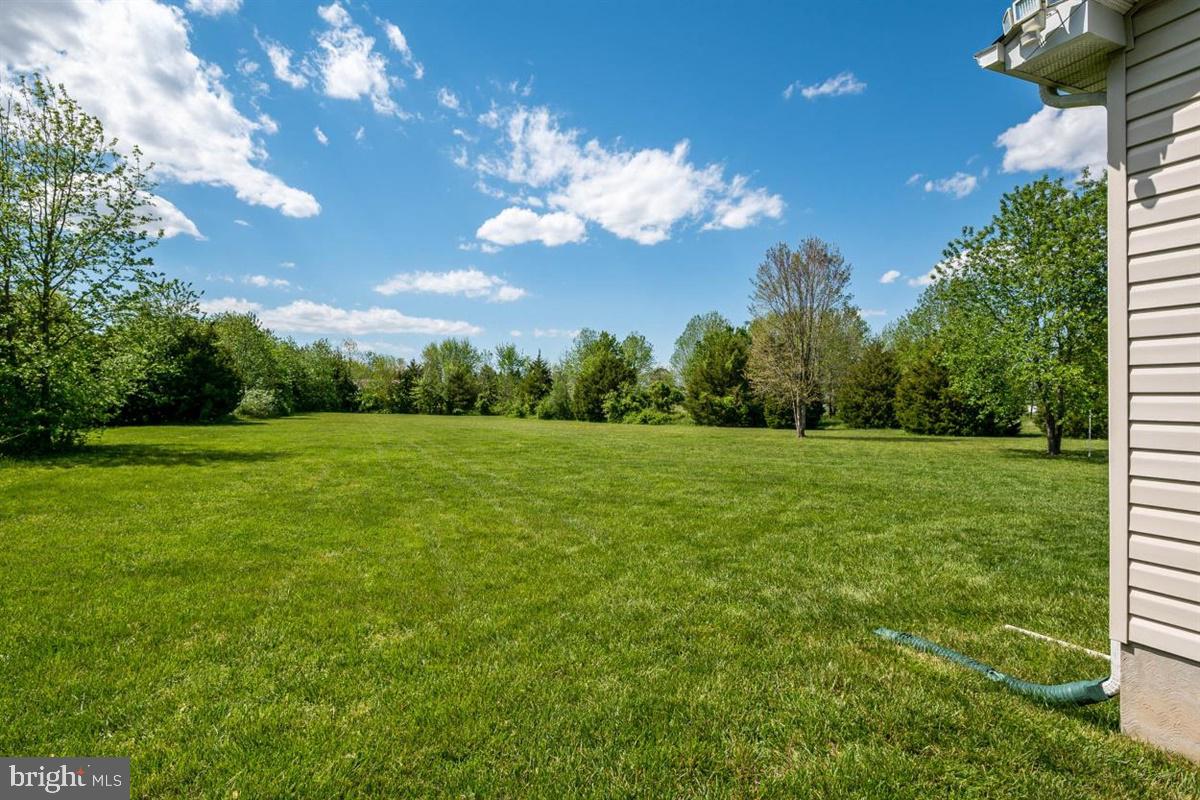 LUCKY SHOE RANCHETTES - Residential