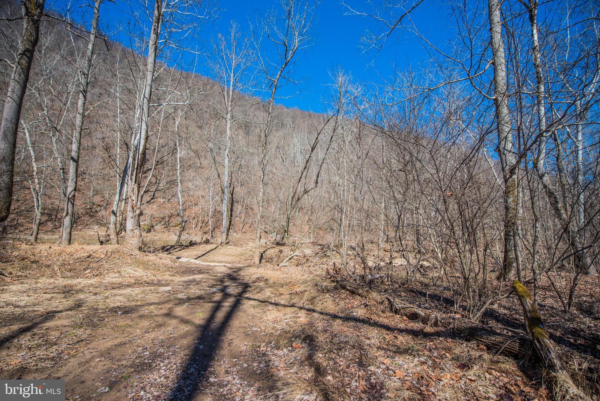 ROUSE MOUNTAIN - Residential