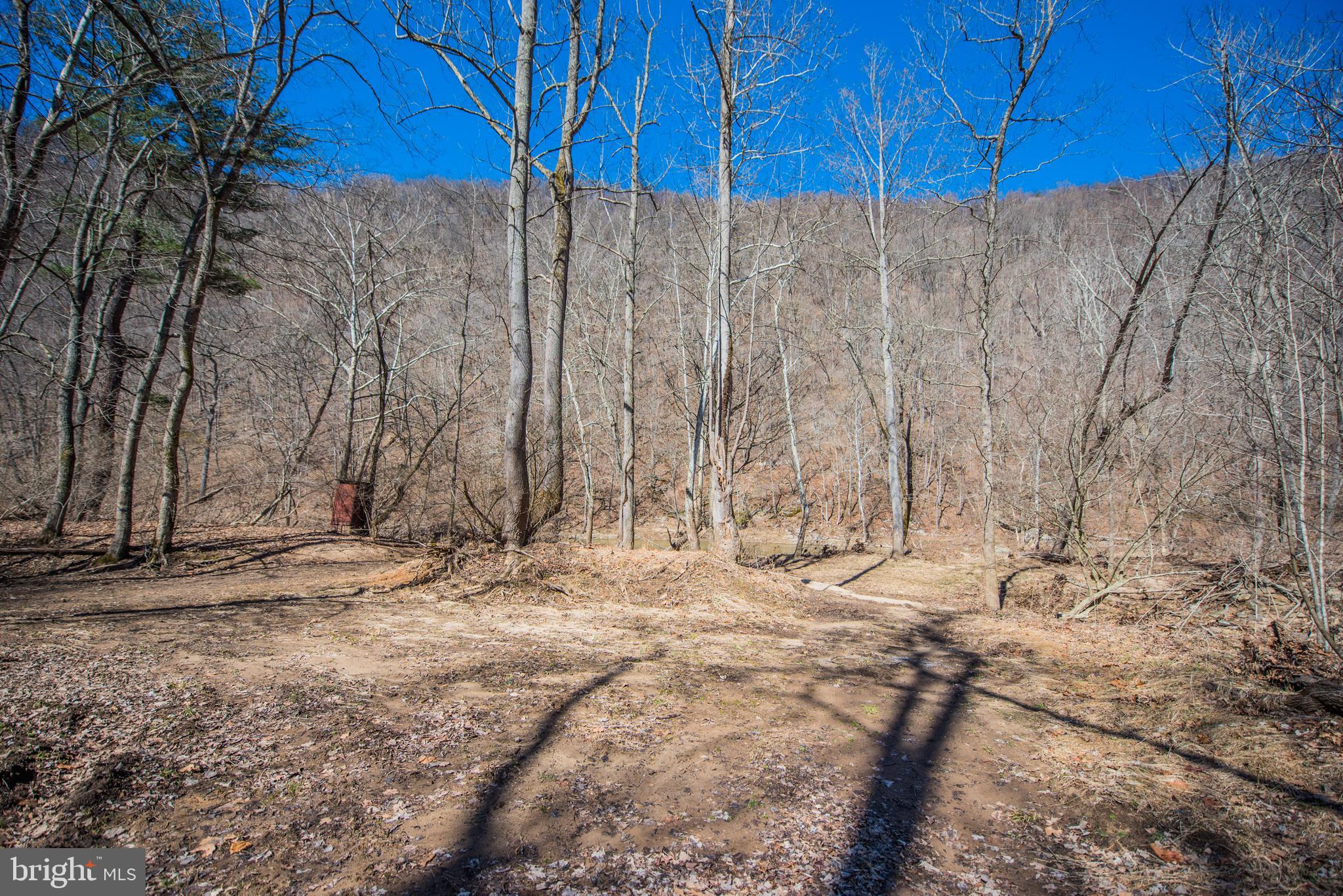 ROUSE MOUNTAIN - Residential
