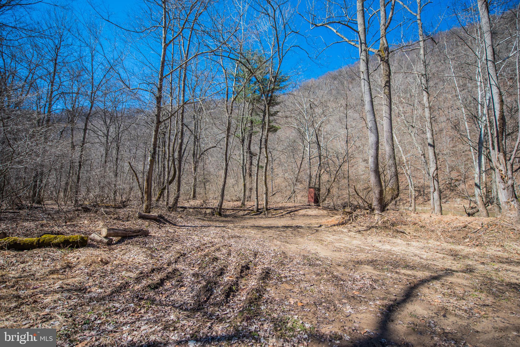 ROUSE MOUNTAIN - Residential