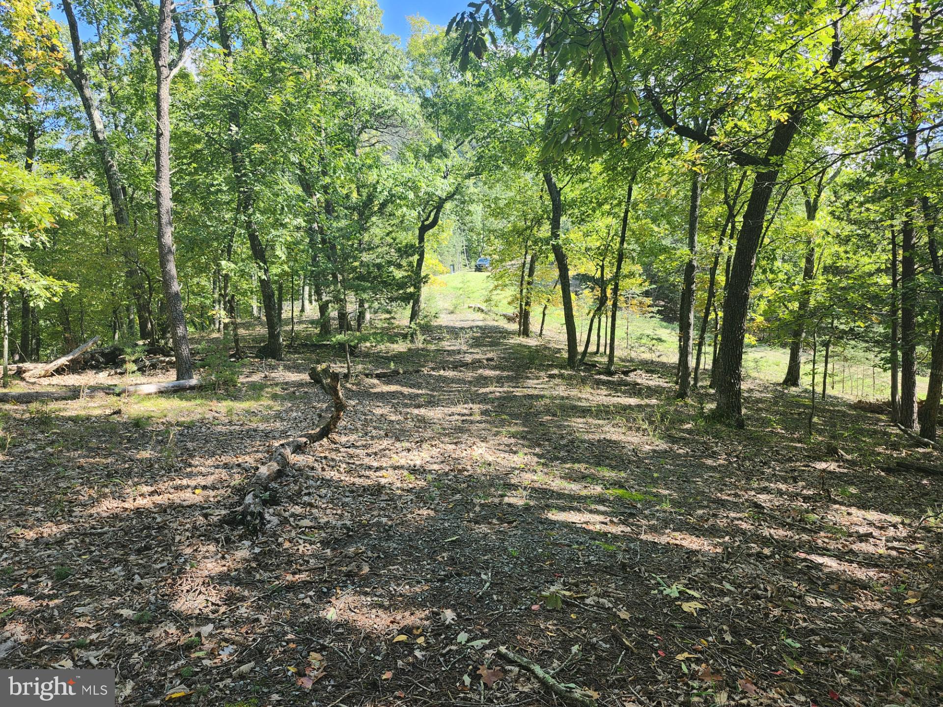 GRACE MOUNTAIN LANE