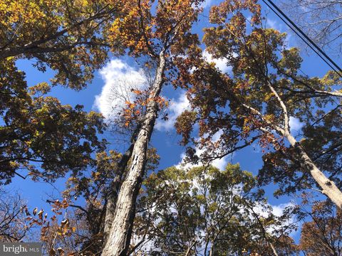 Vacant Land For Sale - Cliff Lane<br/> BLUEMONT, VA 20135