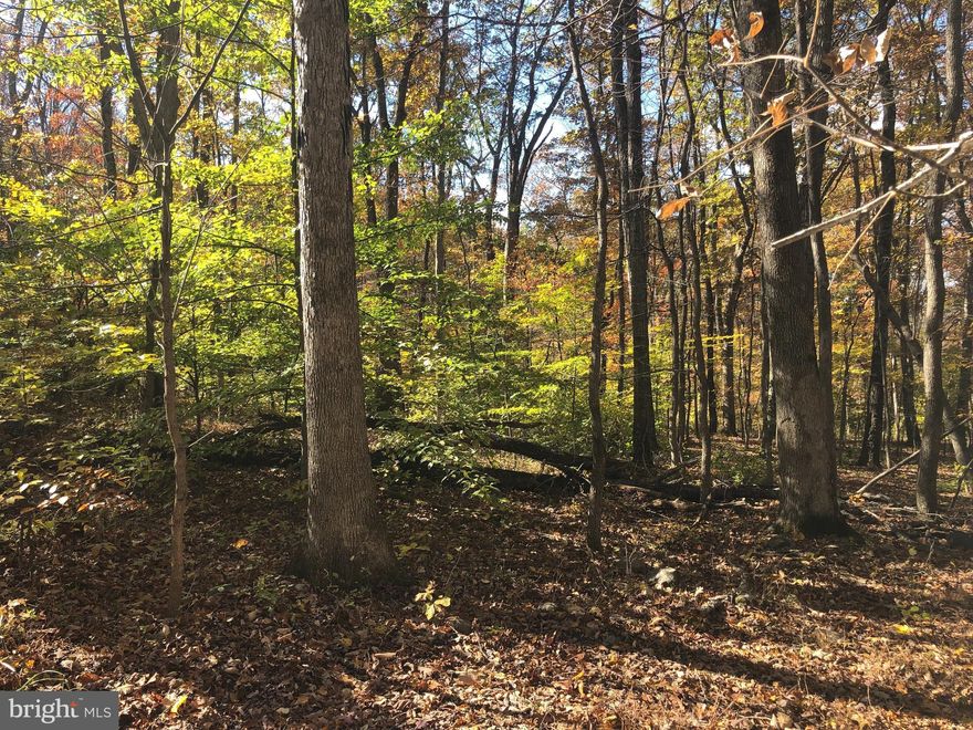 A rare opportunity to own one of the last remaining lots in Ashby Run! This tranquil 5.55 acre retreat in Bluemont, VA is already approved for a 4-bedroom alternative septic system, making your vision of a custom home one step closer to reality. Whether you're dreaming of a cozy weekend get-away or a full time residence, the groundwork is set.  With easy access to Route 7 and Route 50, you're only 25 minutes to the towns of Middleburg and Berryville, making this an ideal retreat with convenient access to amenities. With towering trees, proximity to the Appalachian Trail, and easy access to the Shenandoah River, this property offers a rare blend of natural beauty.