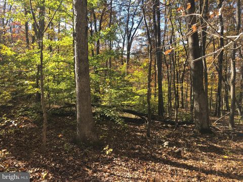 CLIFF LANE BLUEMONT VA 20135