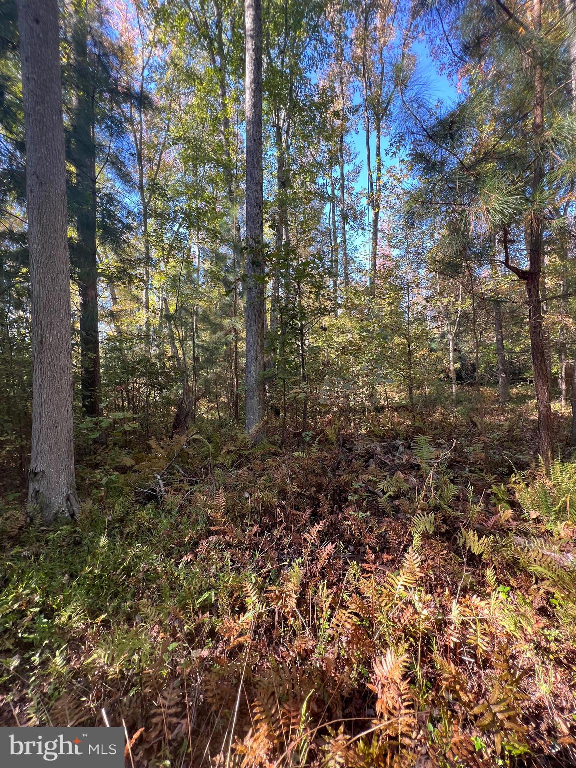 NONE AVAILABLE - Land