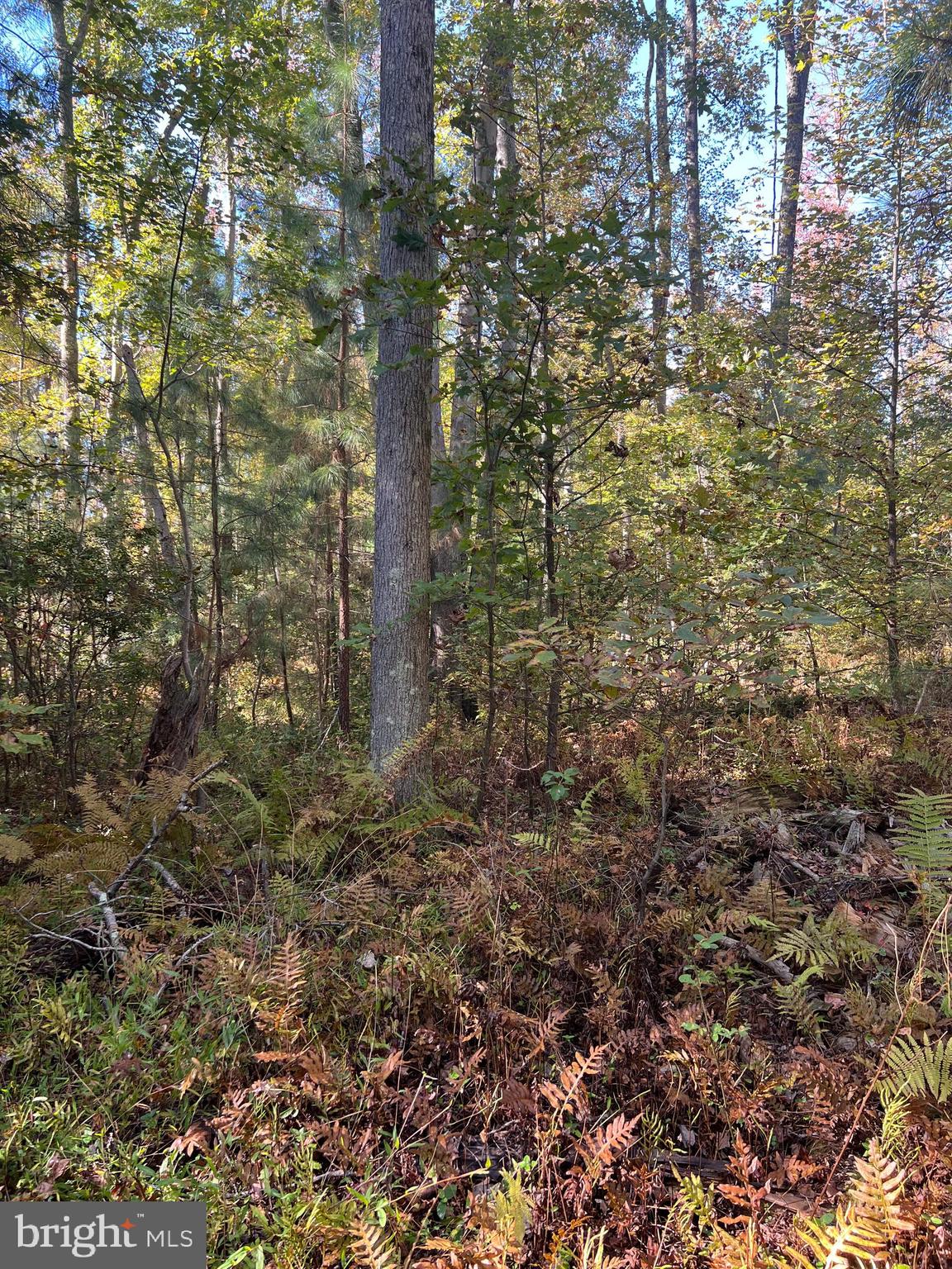 NONE AVAILABLE - Land