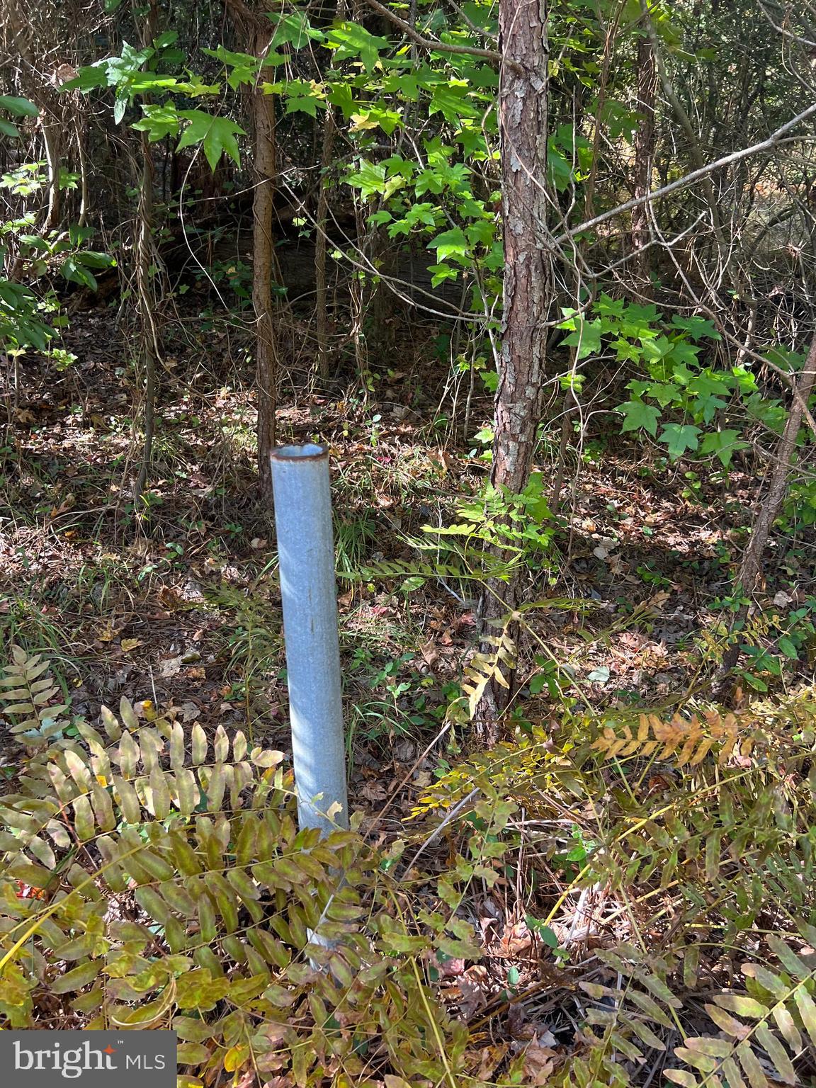 NONE AVAILABLE - Land