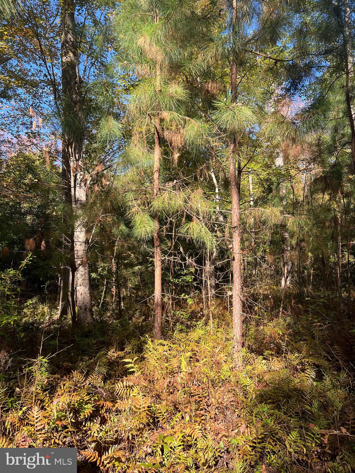 NONE AVAILABLE - Land