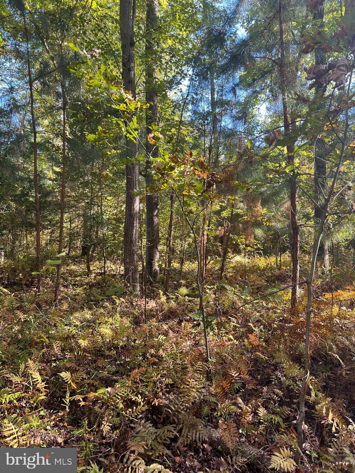 NONE AVAILABLE - Land