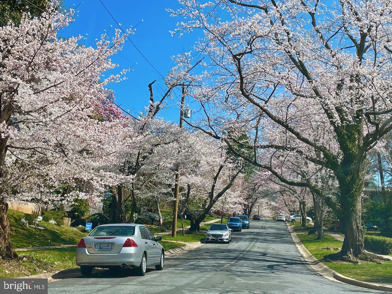 ROCK CREEK PALISADES - Residential