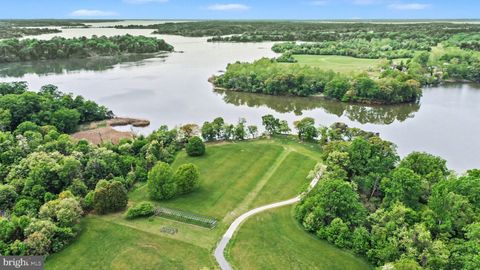 Lot 4 KNIGHT ISLAND ROAD EARLEVILLE MD 21919