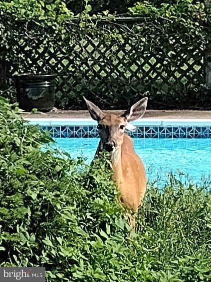 GREEN VALLEY - Residential