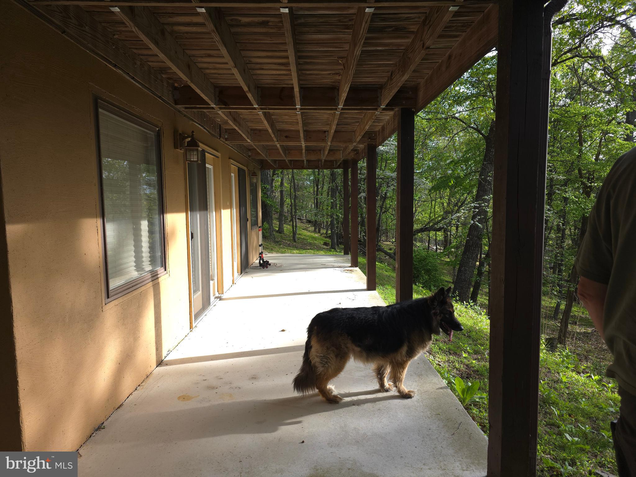 BUCK RIDGES - Residential