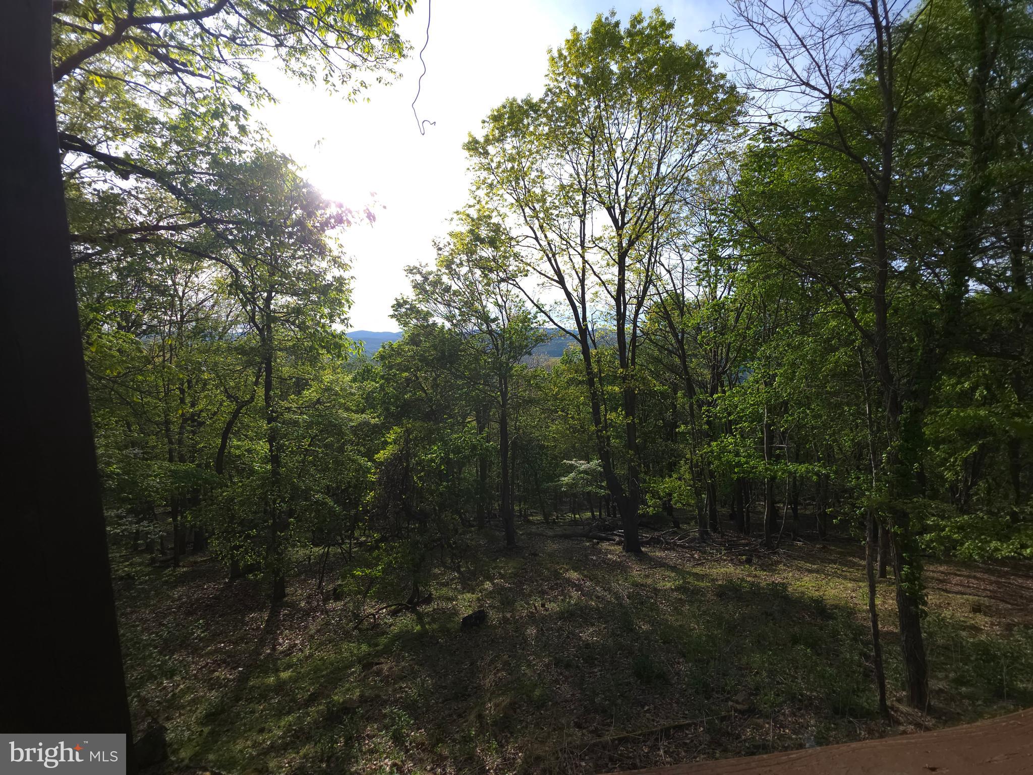 BUCK RIDGES - Residential