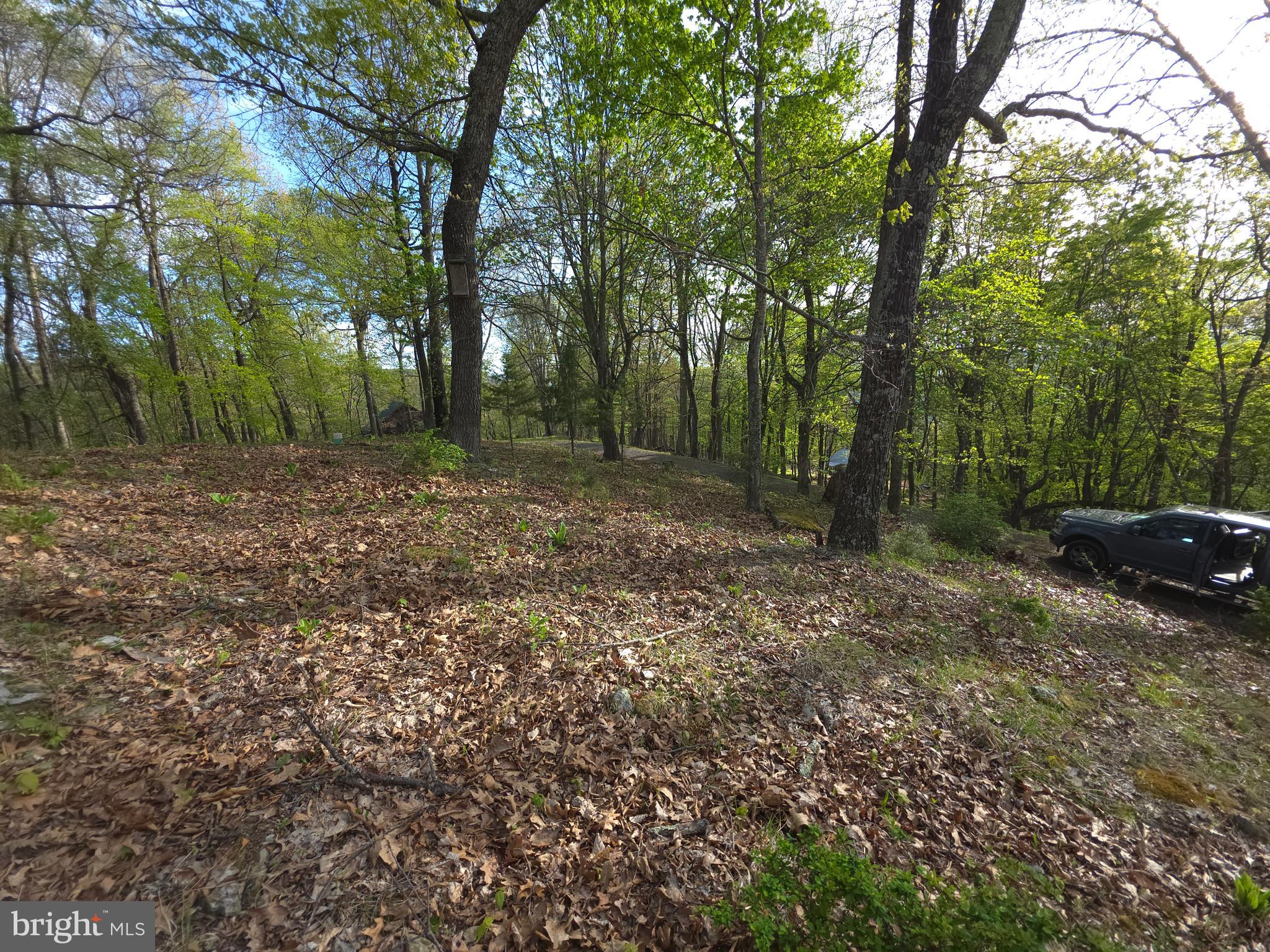 BUCK RIDGES - Residential