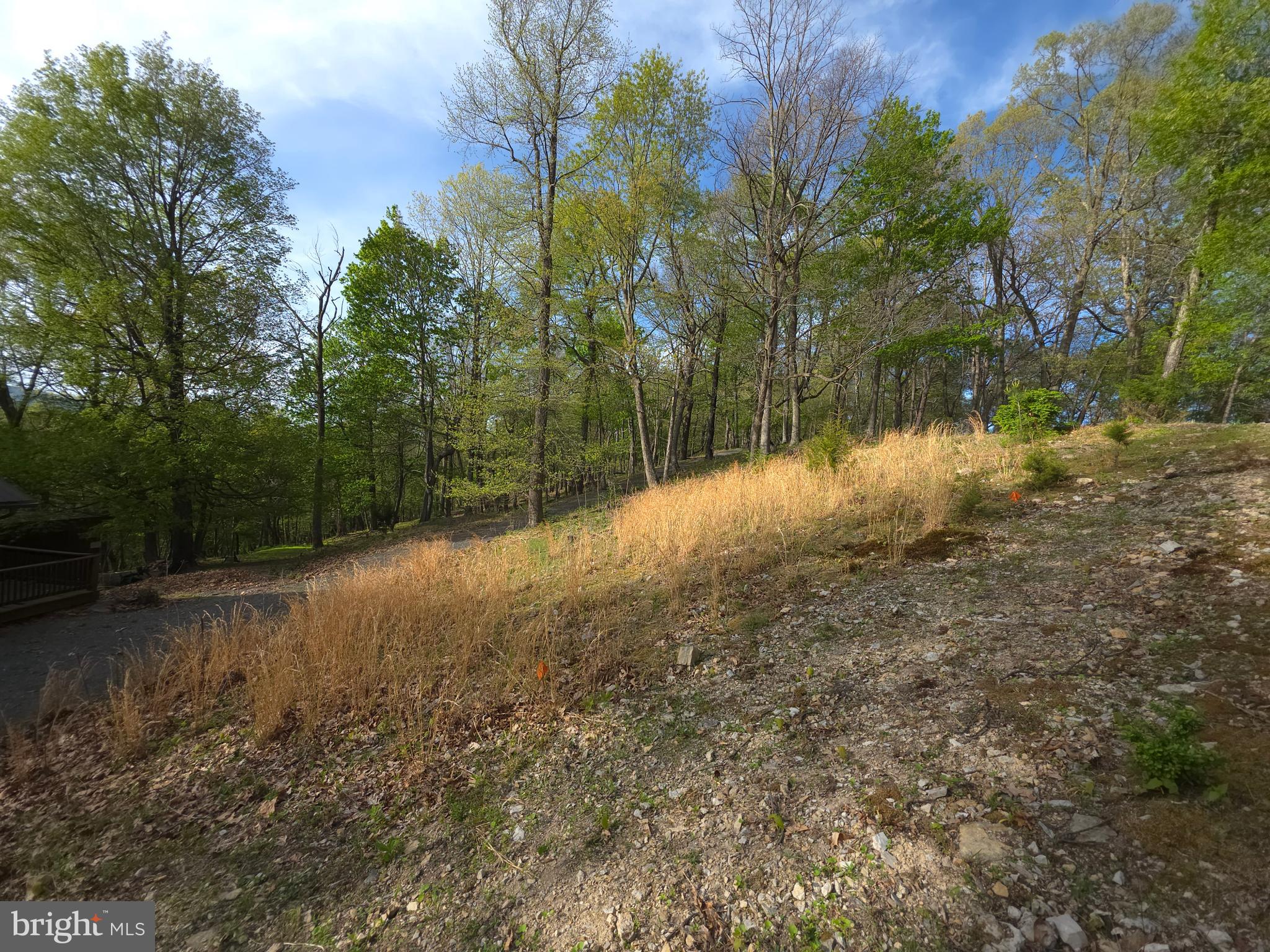BUCK RIDGES - Residential