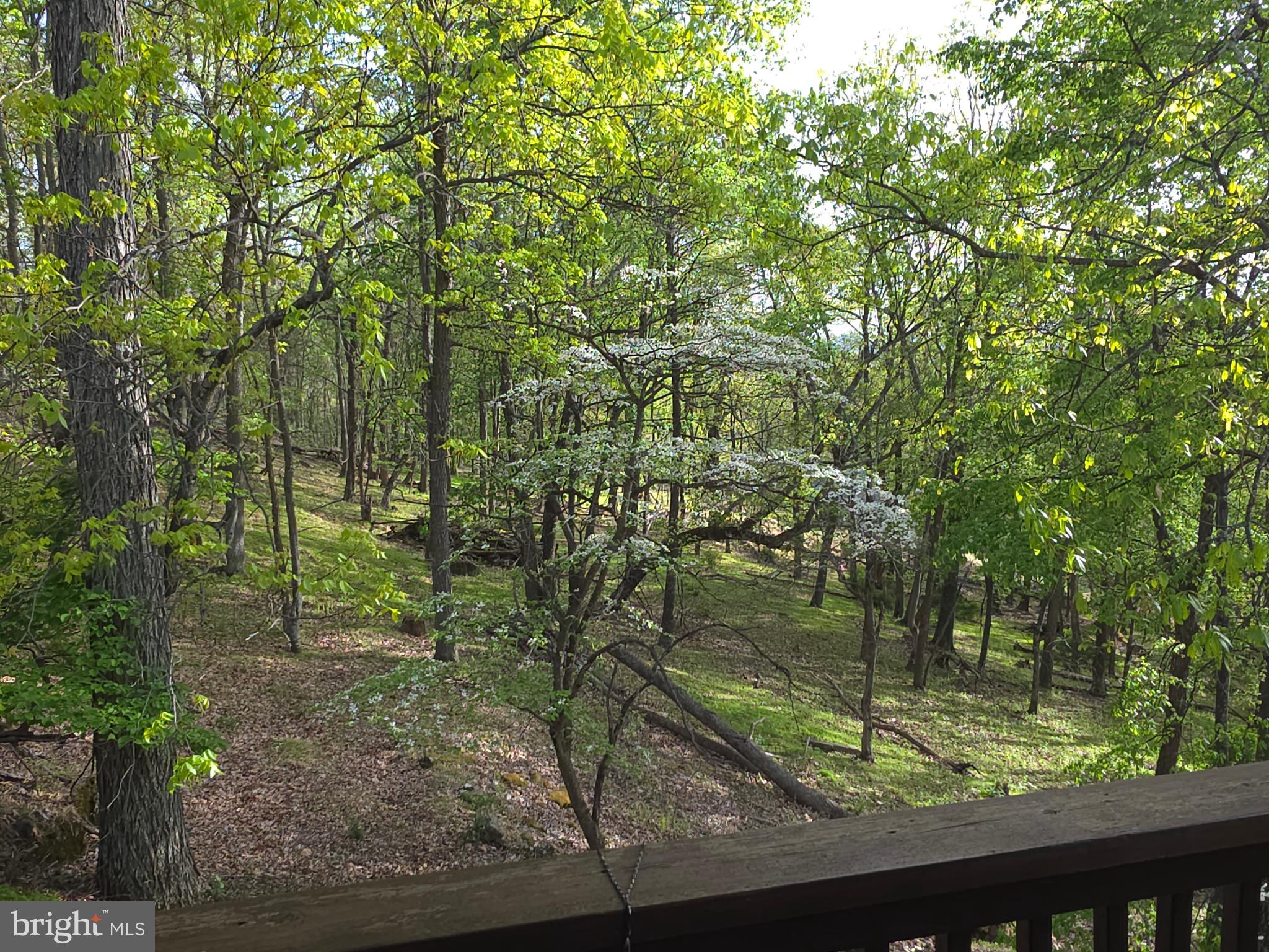 BUCK RIDGES - Residential
