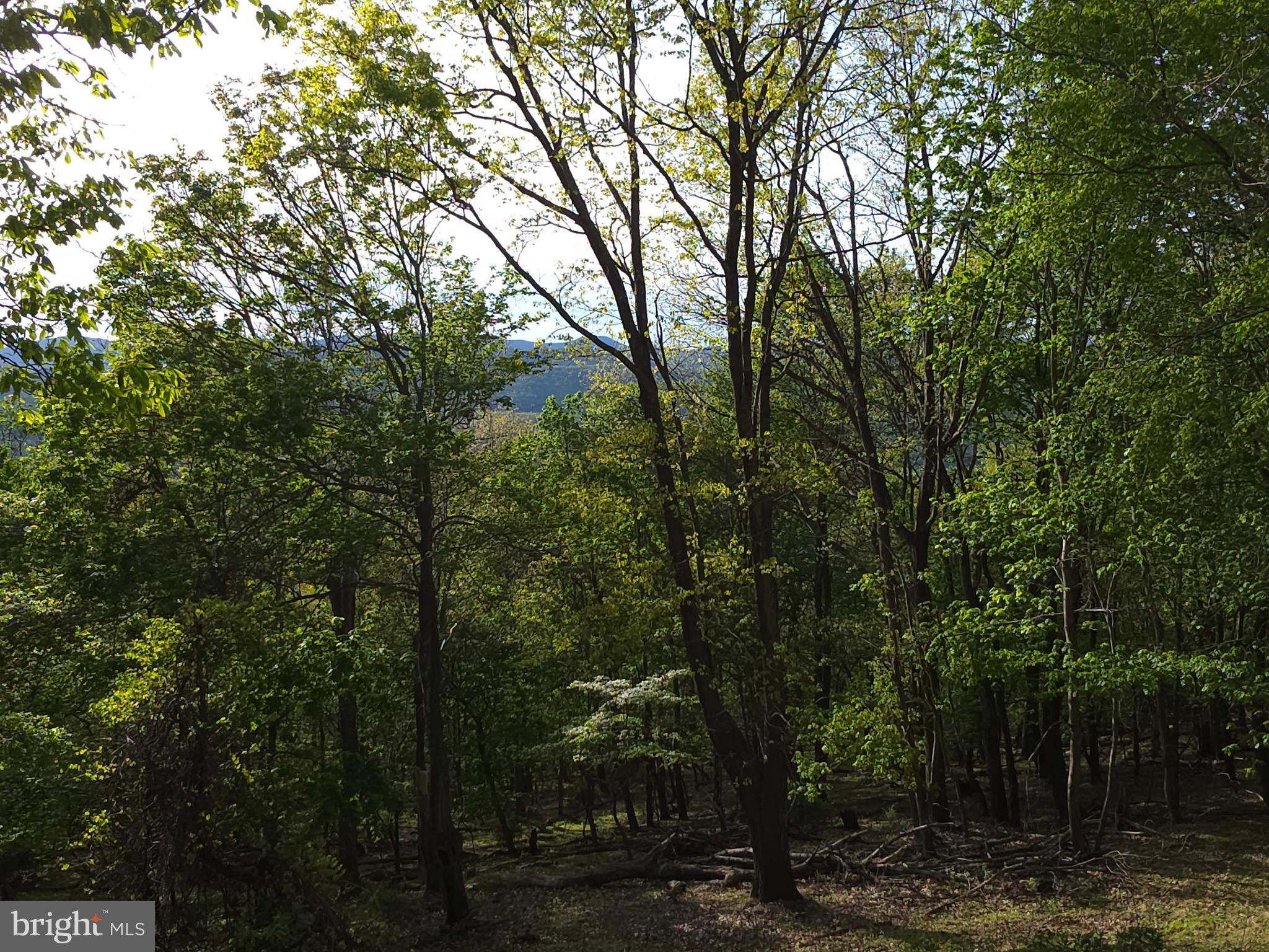 BUCK RIDGES - Residential