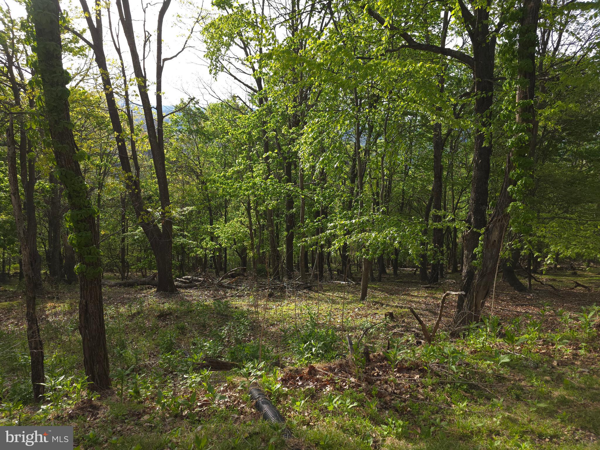 BUCK RIDGES - Residential