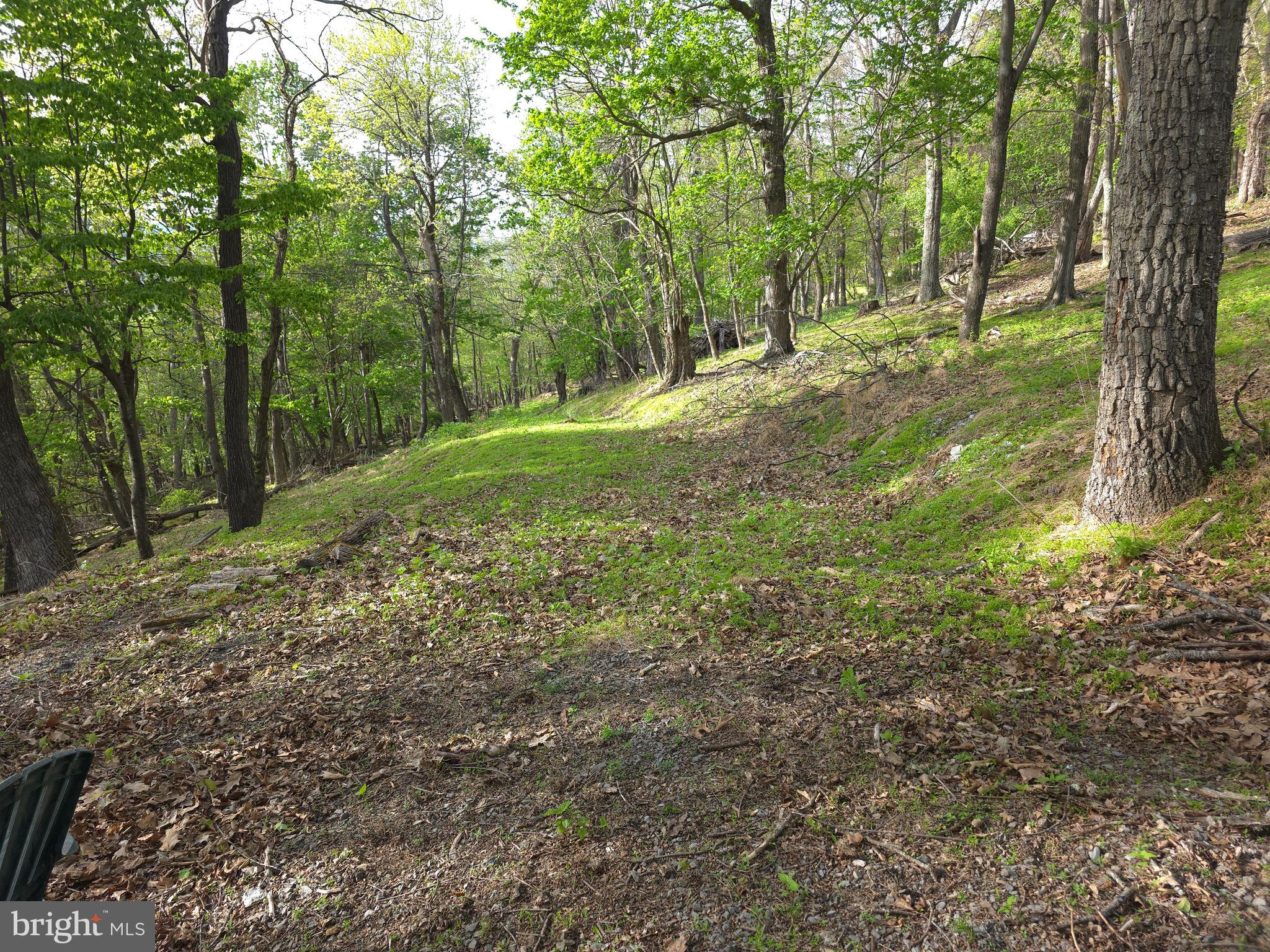 BUCK RIDGES - Residential