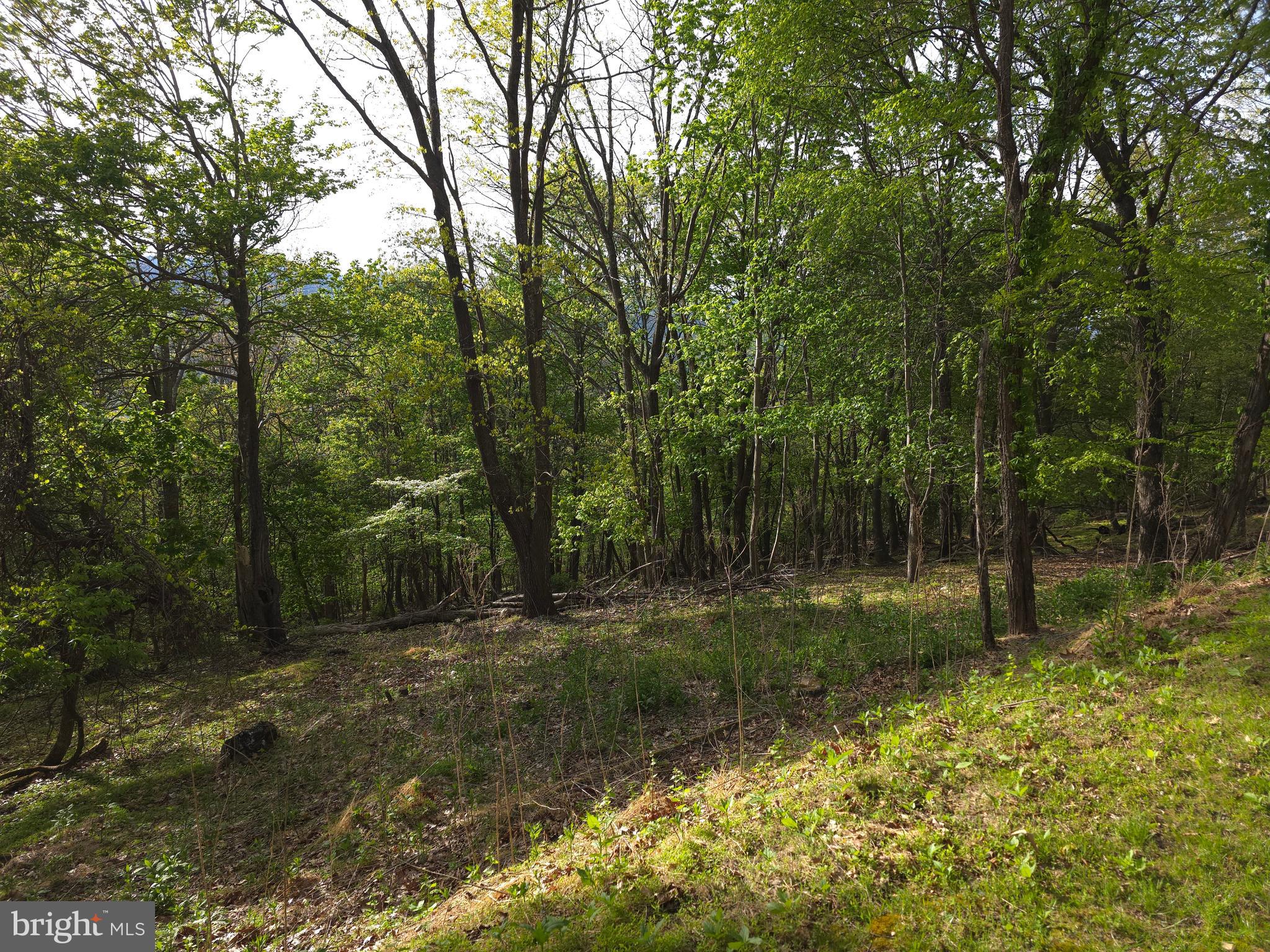 BUCK RIDGES - Residential