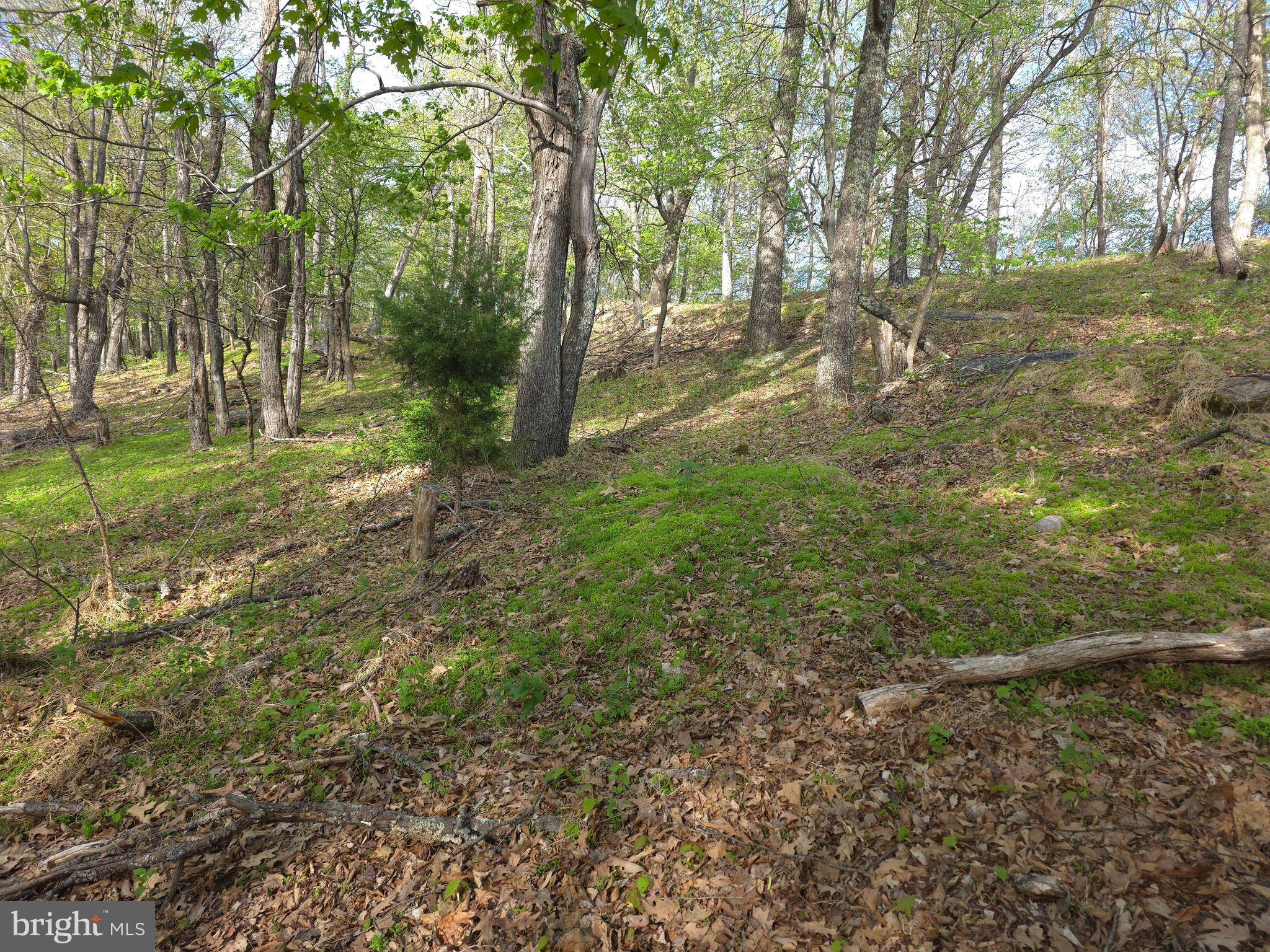 BUCK RIDGES - Residential