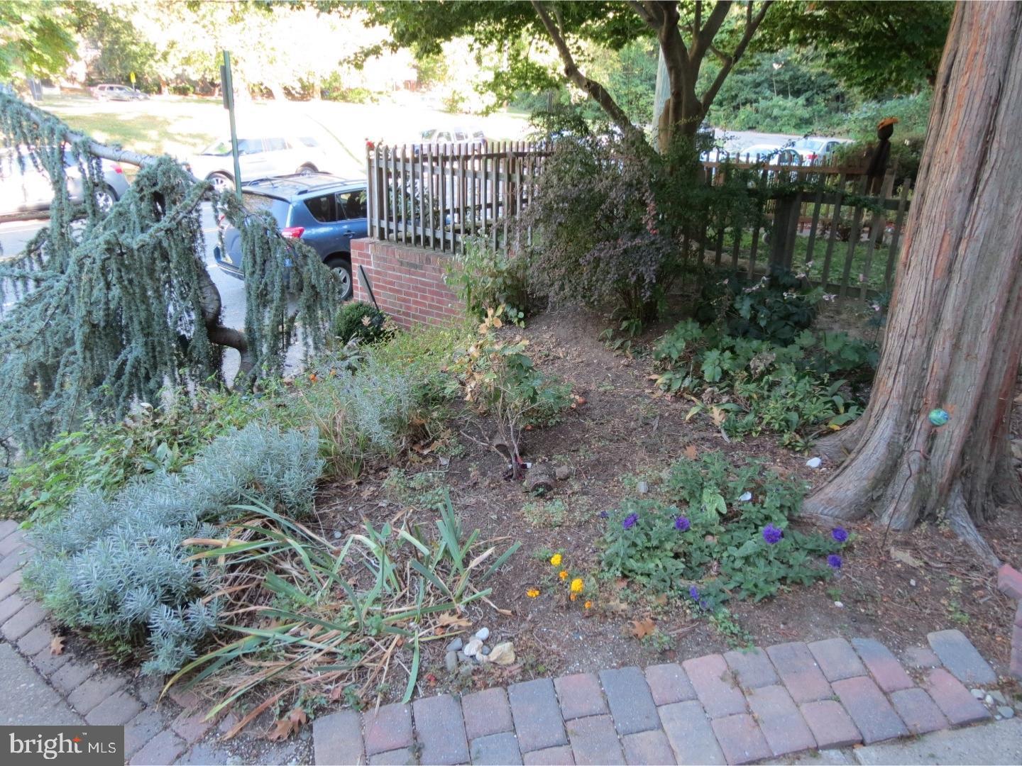 CHESTNUT HILL - Residential Lease