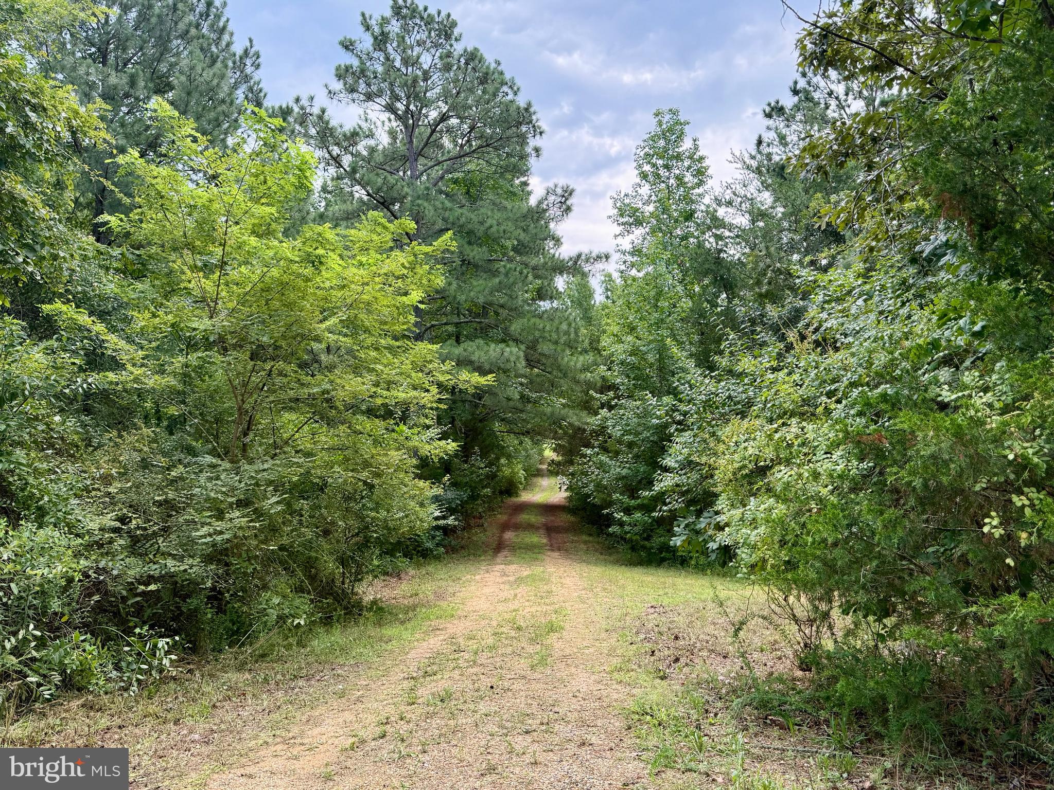 45291 TAKE IT EASY RANCH ROAD