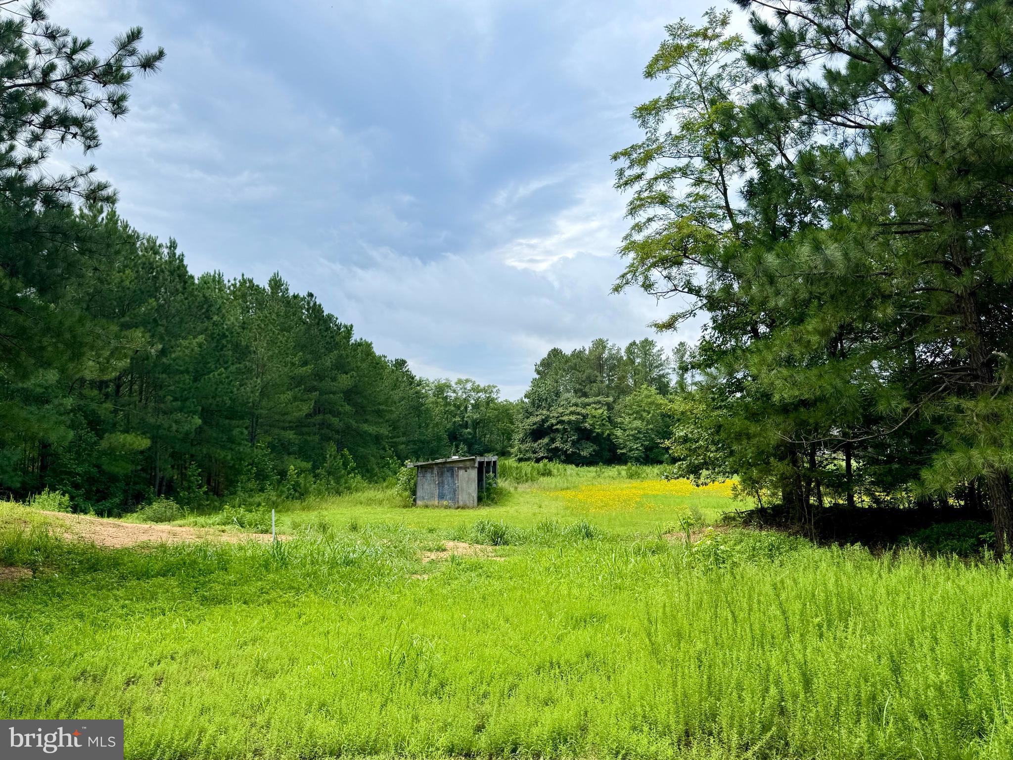 45291 TAKE IT EASY RANCH ROAD