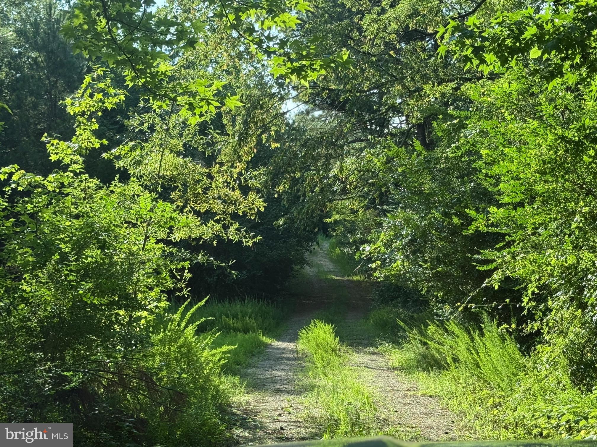 45291 TAKE IT EASY RANCH ROAD